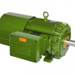 Motores elétricos weg